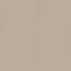 24201-16 Hue Duvar Kağıdı Modeli