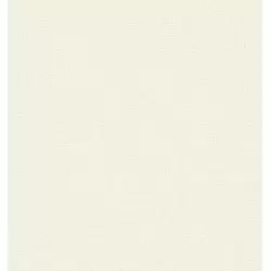 3707-1 Alfa Duvar Kağıdı | Modern ve Şık Duvar Kaplaması