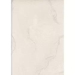 30200-1 Ambiance Duvar Kağıdı ile Sıcak ve Huzurlu Mekanlar Yaratın