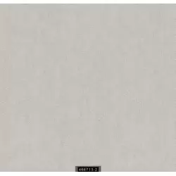 466713-2 Contract Duvar Kağıdı ile Ofis ve Ticari Alanlarınızı Şıklaştırın